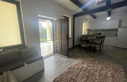 Casă Rustică Superbă, Complet Renovata, la 30 km de Bistrița, 8 ari teren