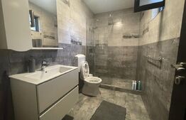 Casă Rustică Superbă, Complet Renovata, la 30 km de Bistrița, 8 ari teren