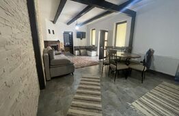 Casă Rustică Superbă, Complet Renovata, la 30 km de Bistrița, 8 ari teren