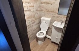 Cabana 3 camere 100Mp, Baile Figa Beclean