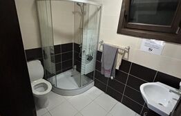 Cabana 3 camere 100Mp, Baile Figa Beclean