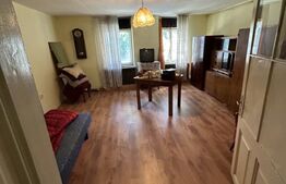 Casa, 3 camere , 224 Mp, zona Mihai Viteazau 