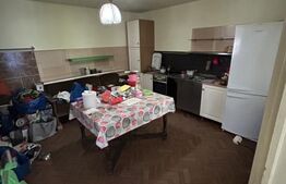 Casa, 3 camere , 224 Mp, zona Mihai Viteazau 