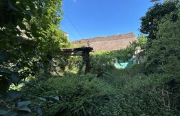 Casa, 3 camere , 224 Mp, zona Mihai Viteazau 