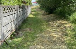 Teren podul Jelnei 3306 mp + casa veche