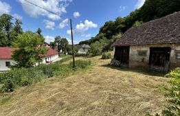 Teren podul Jelnei 3306 mp + casa veche