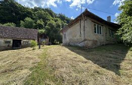 Teren podul Jelnei 3306 mp + casa veche