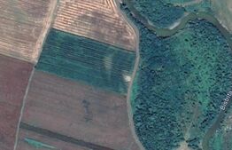 Teren Arabil în Groapa Sărății, 50 ari