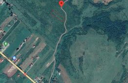 Livada Crainimat 30 ari, extravilan