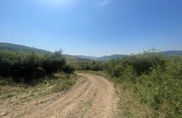 Livada Crainimat 30 ari, extravilan