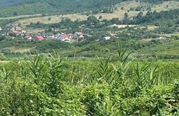 Teren Saratel, 30 ari extravilan