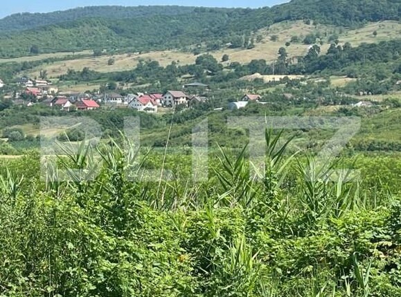 Teren de vânzare Sud - 153744TV | BLITZ Bistriţa | Poza1