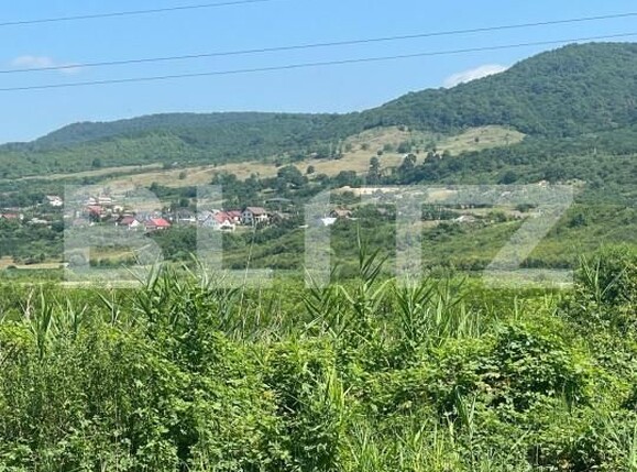 Teren de vânzare Sud - 153744TV | BLITZ Bistriţa | Poza2