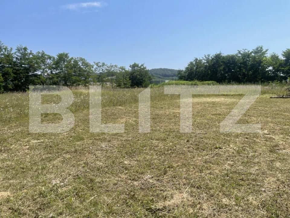 Teren de vânzare Est - 153903TV | BLITZ Bistriţa | Poza3