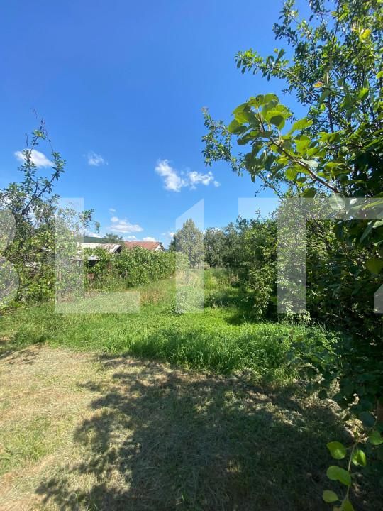 Casa de vânzare 3 camere Vest - 153951CV | BLITZ Bistriţa | Poza6