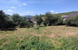 Casa 118 mp cu 4 camere,2300mp teren, zona Lechinta