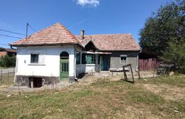 Casa 118 mp cu 4 camere,2300mp teren, zona Lechinta