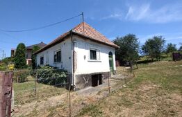 Casa 118 mp cu 4 camere,2300mp teren, zona Lechinta