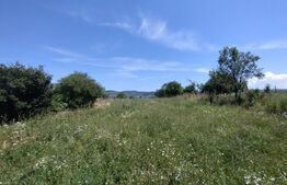 Casa 118 mp cu 4 camere,2300mp teren, zona Lechinta