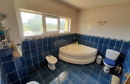 Casa cu 5 camere si spatiu comercial 150 mp-teren 5500 mp-Zona Livezile