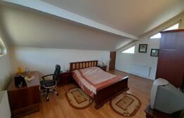 Casa cu 5 camere si spatiu comercial 150 mp-teren 5500 mp-Zona Livezile