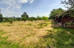 Casa cu 5 camere si spatiu comercial 150 mp-teren 5500 mp-Zona Livezile