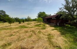 Casa cu 5 camere si spatiu comercial 150 mp-teren 5500 mp-Zona Livezile