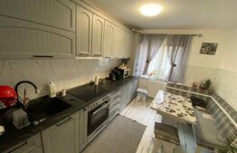 Apartament cu 2 camere, semidecomandat, parter, 56 mp 