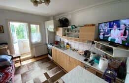 Apartament cu 4 camere, 77 mp 