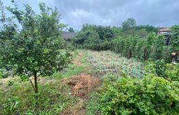 Casa individuala, 500 mp teren, 9 km de oras