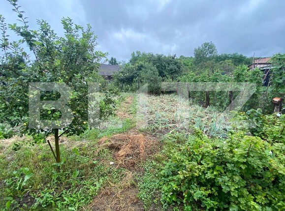 Casa de vânzare 3 camere Vest - 154217CV | BLITZ Bistriţa | Poza12