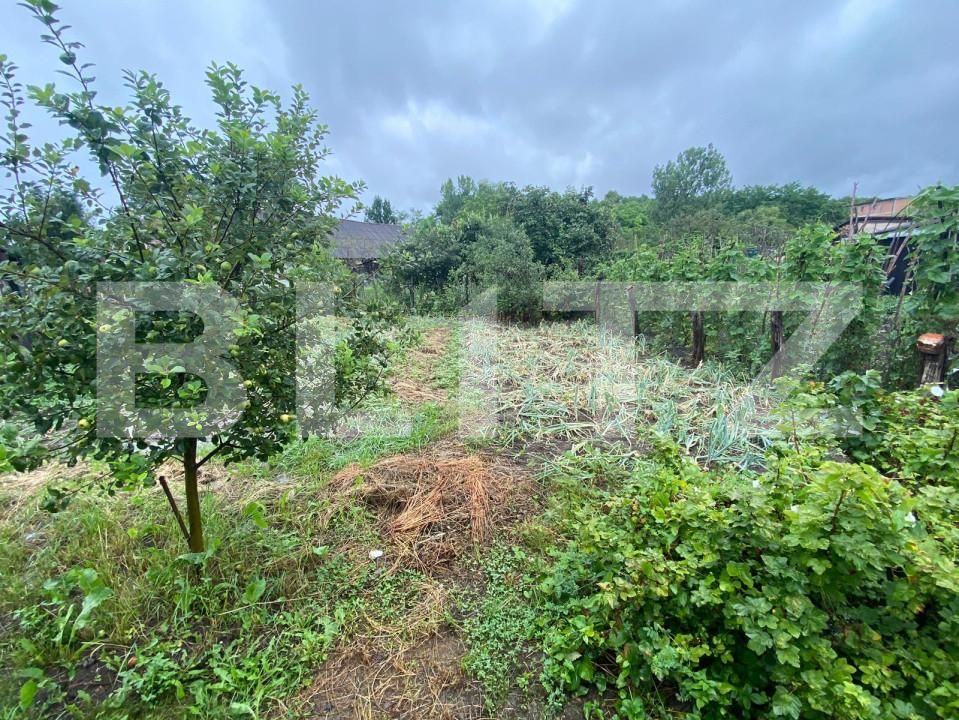 Casa de vânzare 3 camere Vest - 154217CV | BLITZ Bistriţa | Poza12