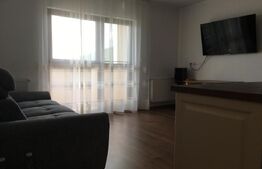 Apartament 2 camere zona Sud