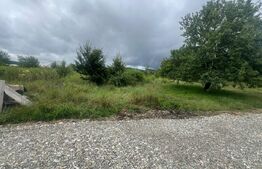 Teren intravilan, 49 arii pretabil pentru investitii 