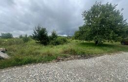 Teren intravilan, 49 arii pretabil pentru investitii 