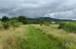 Teren intravilan, 49 arii pretabil pentru investitii 