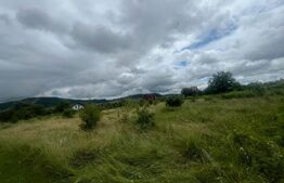 Teren intravilan, 49 arii pretabil pentru investitii 