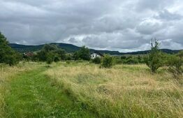 Teren intravilan, 49 arii pretabil pentru investitii 