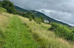 Teren intravilan, 49 arii pretabil pentru investitii 