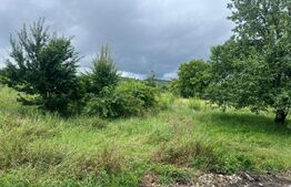 Teren intravilan, 49 arii pretabil pentru investitii 