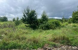 Teren intravilan, 49 arii pretabil pentru investitii 