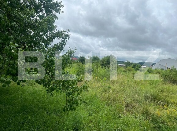 Teren de vânzare Unirea - 154261TV | BLITZ Bistriţa | Poza20