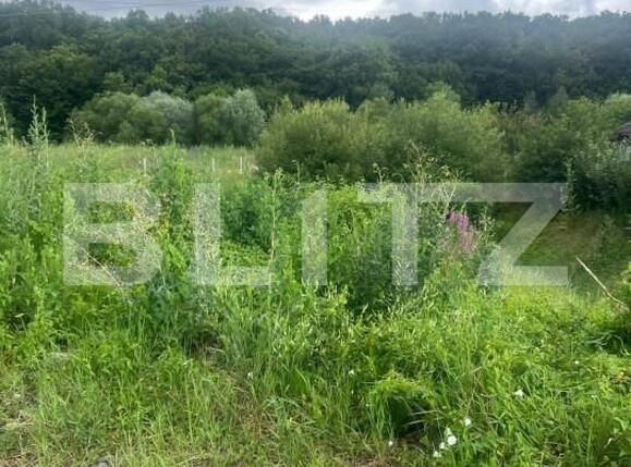 Teren de vânzare Unirea - 154276TV | BLITZ Bistriţa | Poza6