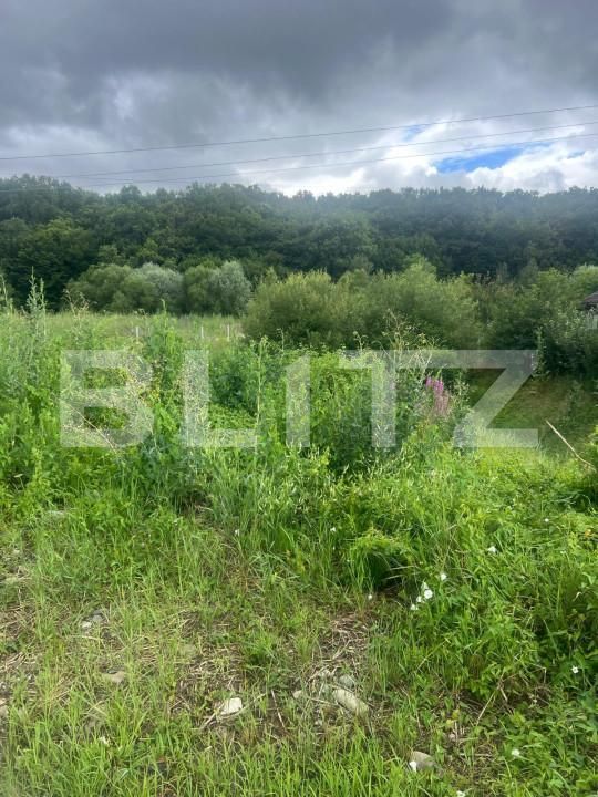 Teren de vânzare Unirea - 154276TV | BLITZ Bistriţa | Poza6