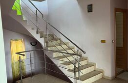 Casa de vanzare cu 10 ari de teren 