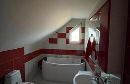 Casa de vanzare cu 10 ari de teren 