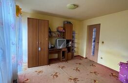 Casa de vanzare cu 10 ari de teren 