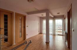 Casa de vanzare cu 10 ari de teren 