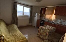 Casa de vanzare cu 10 ari de teren 