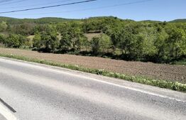 Teren 21 ari intravilan, Herina